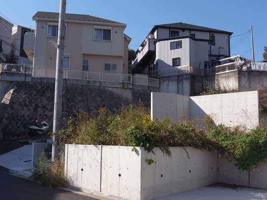 Local land photo