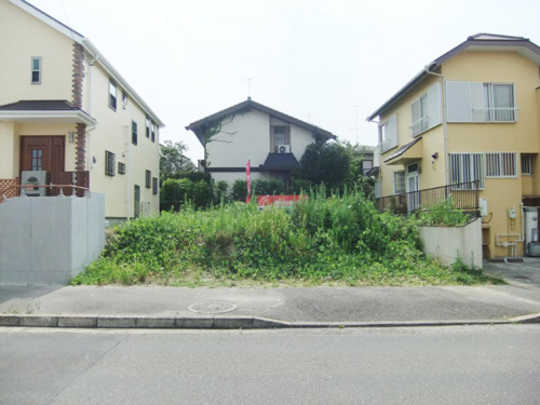 Local land photo. appearance