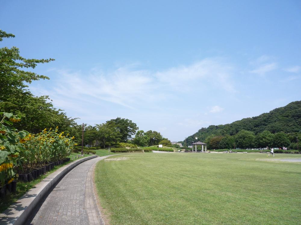 park. Up to Central Park Hino 500m