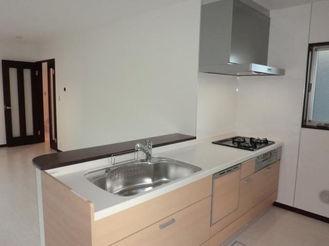 Kitchen. Indoor (11 May 2013) Shooting