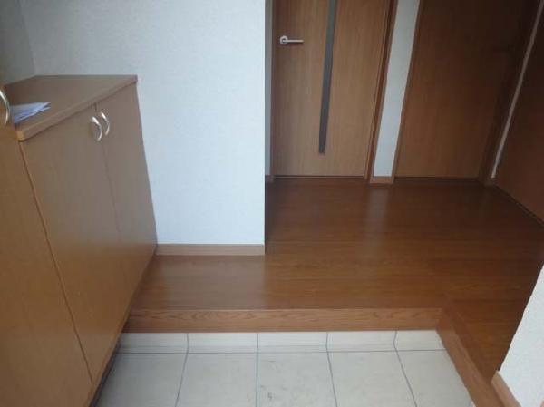 Other introspection. Entrance