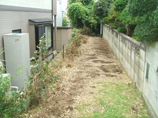 Local land photo. aisle