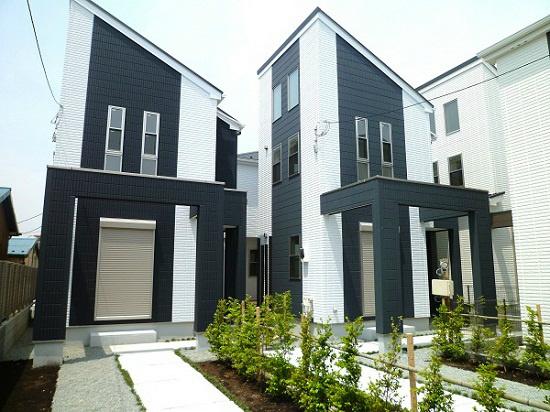 Other. Appearance image