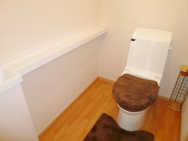 Same specifications photos (Other introspection). Same specifications complete example of construction (toilet)