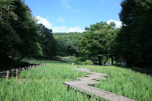 park. 1000m to the four seasons of the forest park