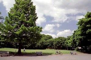 park. Tsukushino to Central Park 991m