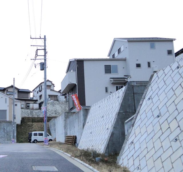 Local photos, including front road