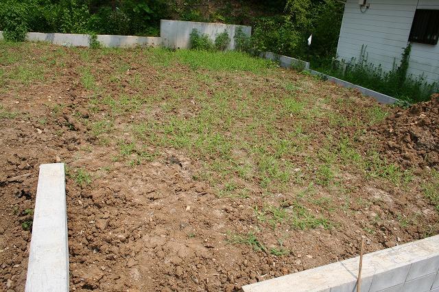 Local land photo. Local (August 2013) Shooting