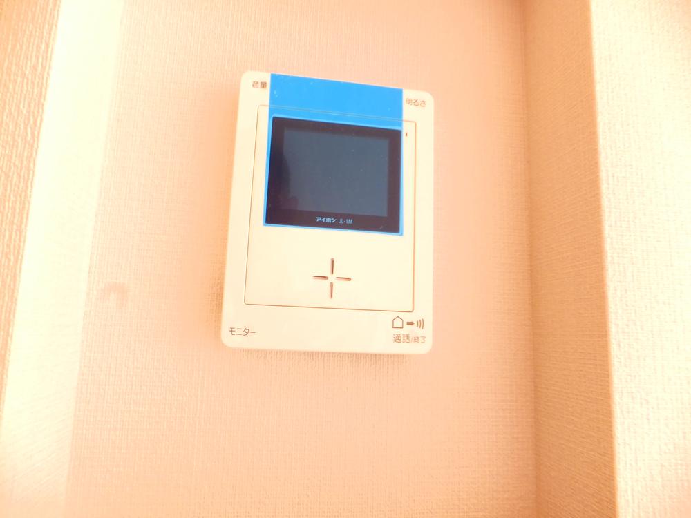 Other introspection. Color monitor intercom