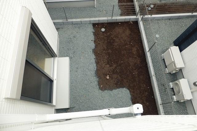 Garden. (December 23, 2013) Shooting R-9 ・ 15 Building