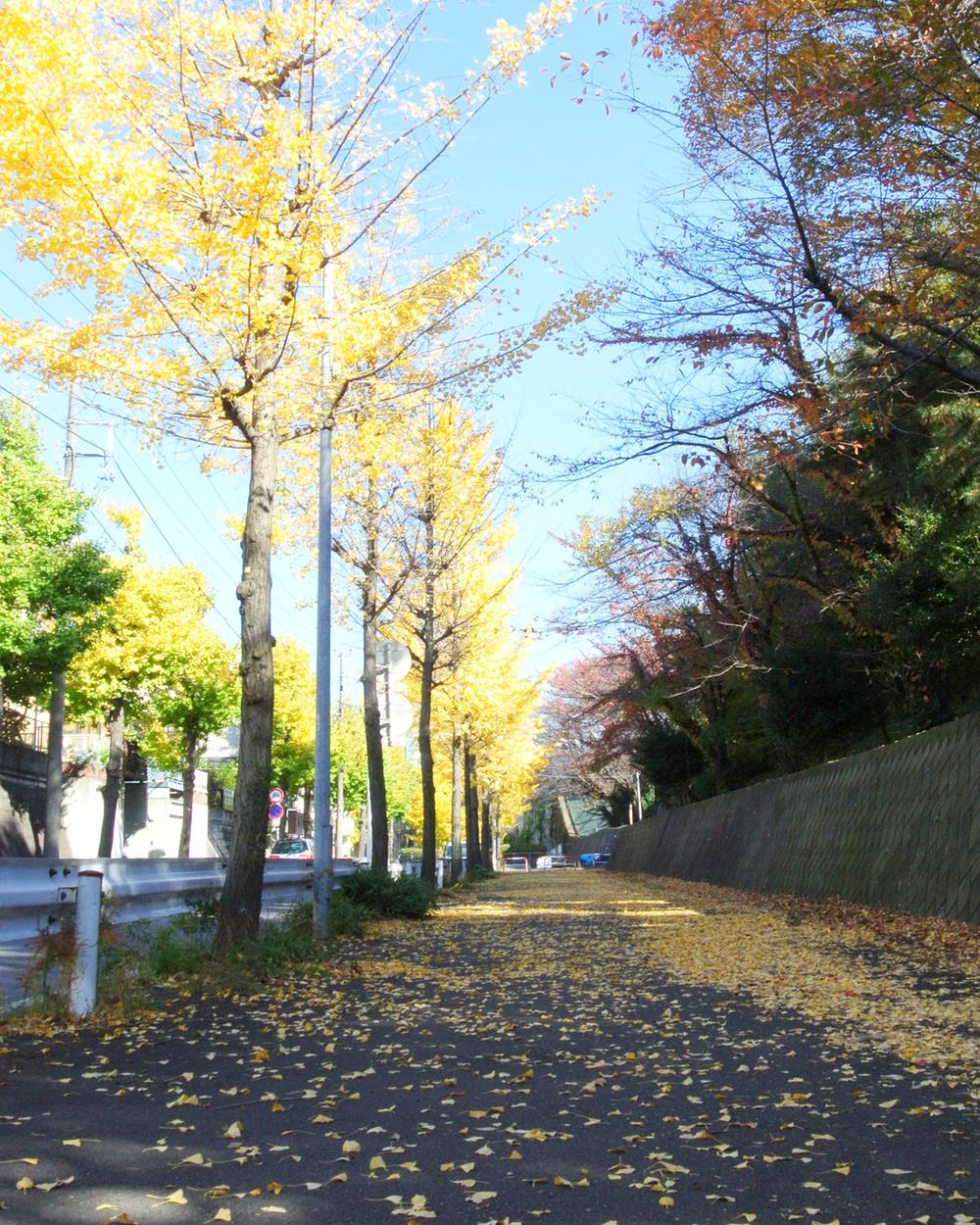 Streets around. 1000m to promenade