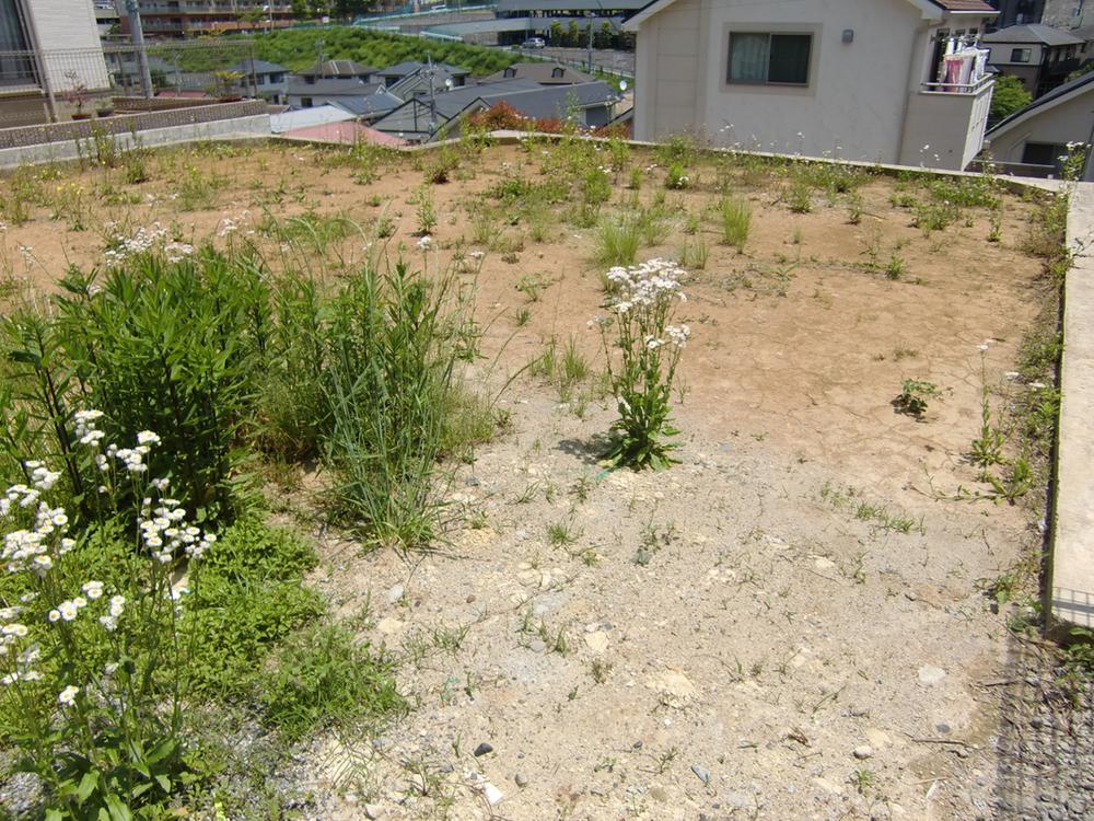 Local land photo. Local (05 May 2013) Shooting