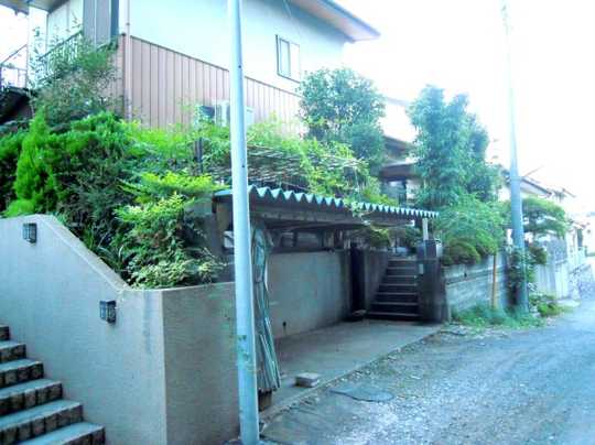 Local land photo. Local Photos