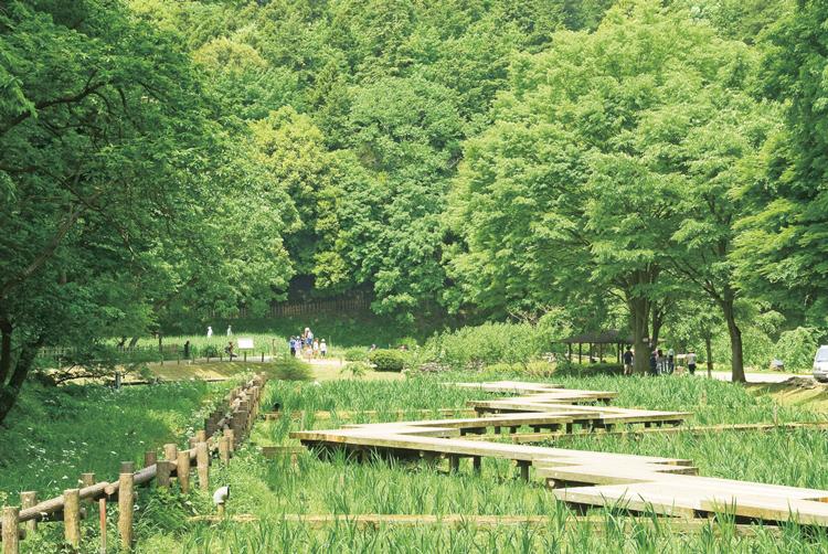 Other. Boasting a vast site "four seasons of Forest Park" is splashing water sound dotted with ponds and picnic Square. Sakura and iris, In addition to autumn colors, such as flowers decorate the park, Such as it is possible to see a firefly, And has a rich enjoy a natural spot through the four seasons.