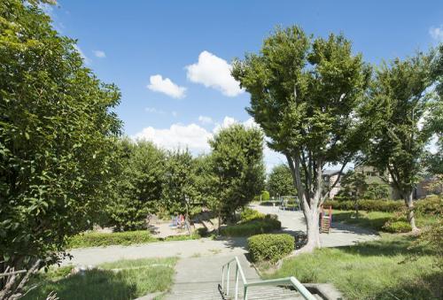 park. One of the town in the park, "Hakusan first park". Because it is located just steps away from local, I'm happy to go to feel free to play as your own home garden. Also in a field of Konyunikeshon between mom.