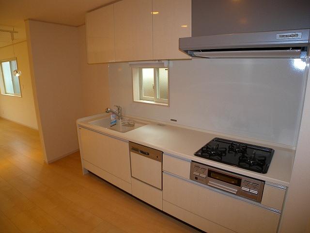 Kitchen. Indoor (11 May 2013) Shooting