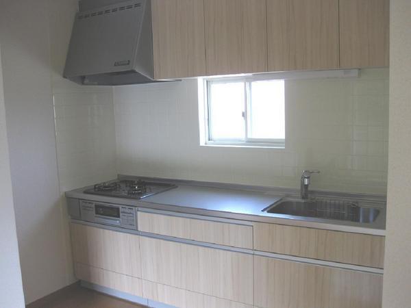 Kitchen. Indoor (10 May 2011) Shooting