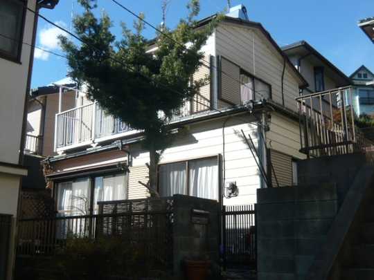 Local land photo. appearance