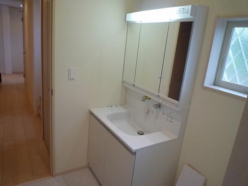 Wash basin, toilet. Building 2 vanity