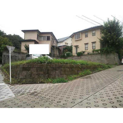 Local land photo. Local photos