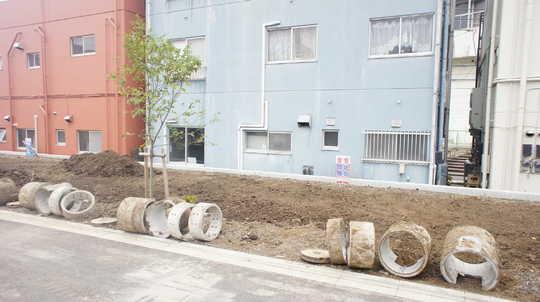 Local appearance photo. Local Photos