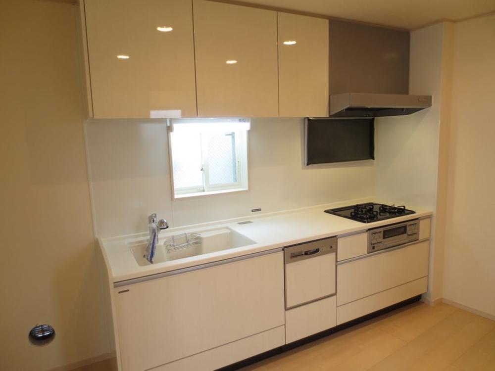 Kitchen. Dishwasher All-in-one water purification plug