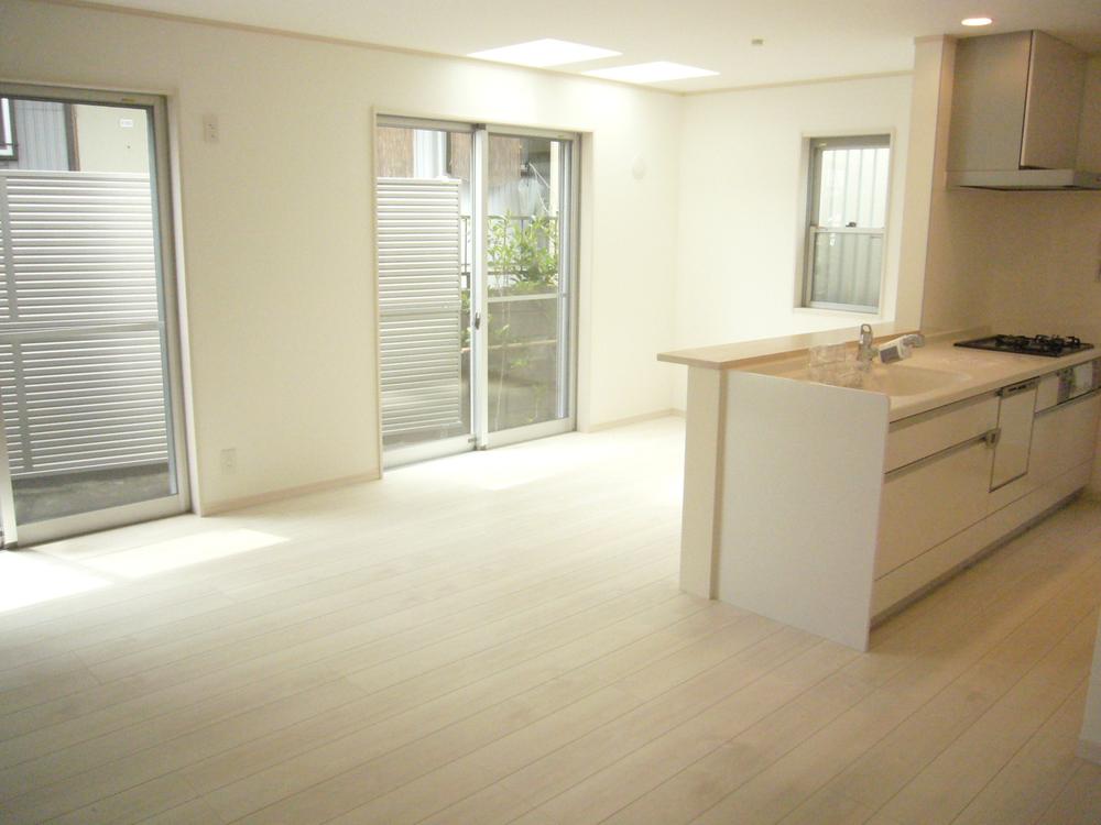 Living. Indoor (August 23, 2013) Shooting