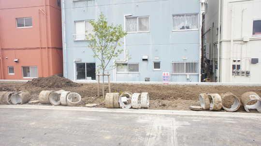 Local appearance photo. Local Photos