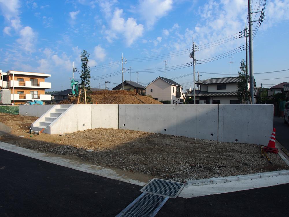 Local land photo. 1 compartment site (November 2013) Shooting