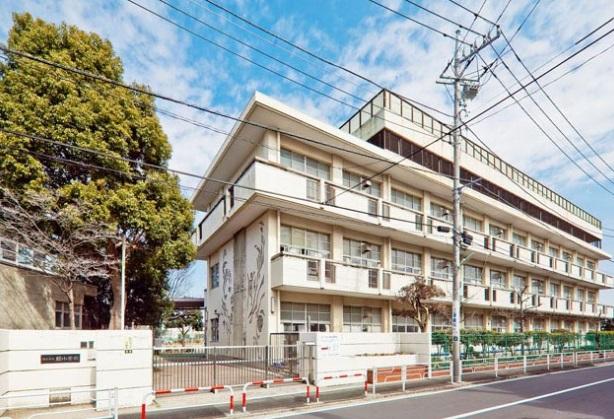 Primary school. 900m until the green elementary school