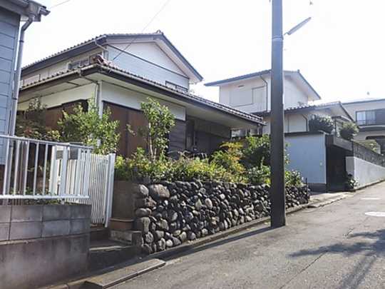 Local land photo. Appearance Photo 1