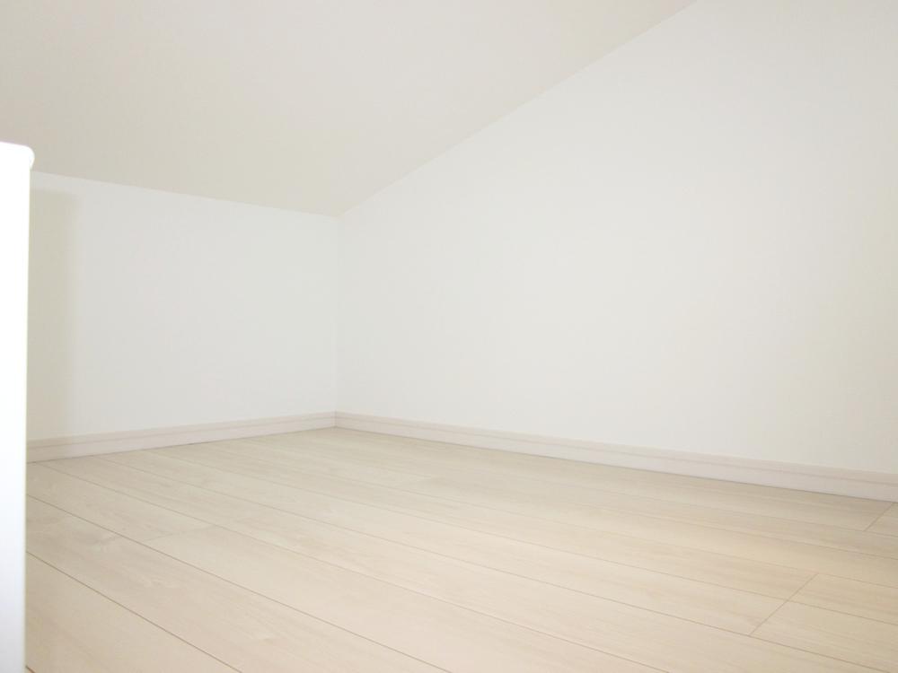 Other introspection. Attic storage (August 2013) Shooting