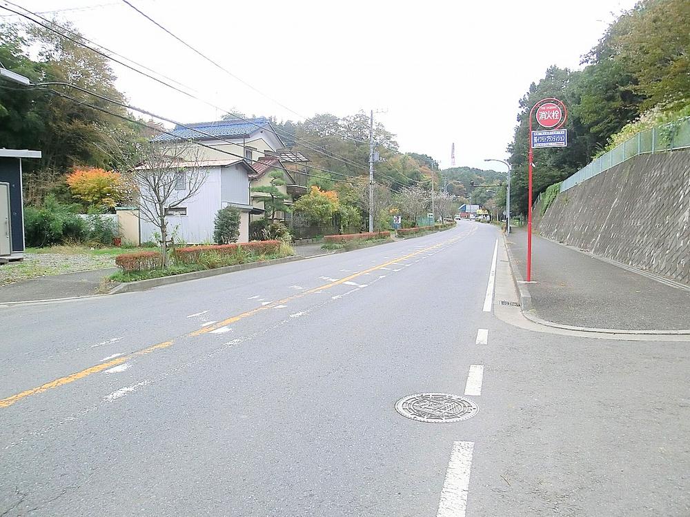 Local photos, including front road. Local (11 May 2013) Shooting