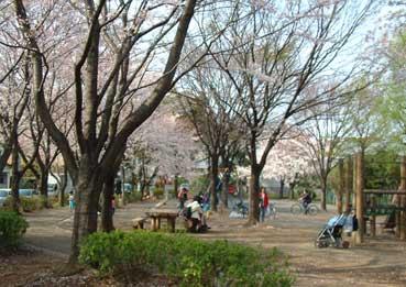 park. 1319m to Saedo park