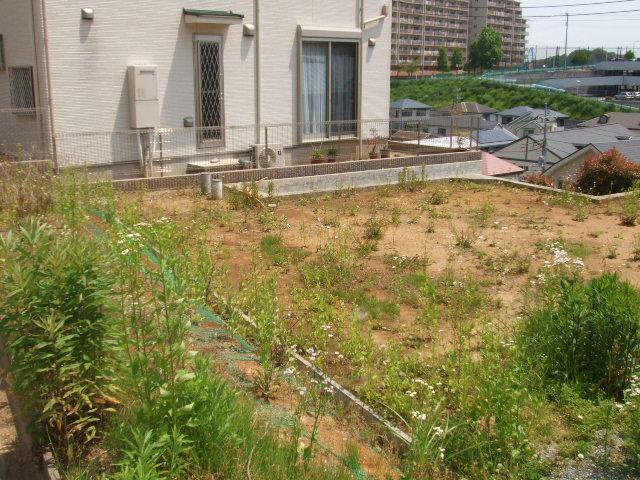 Local land photo. Local (May 2013) shooting R3-2 compartment