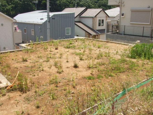 Local land photo. Local (May 2013) Shooting