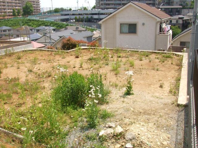 Local land photo. Local (May 2013) Shooting