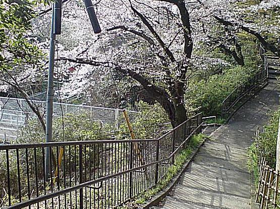 park. 1070m to Gumyoji park