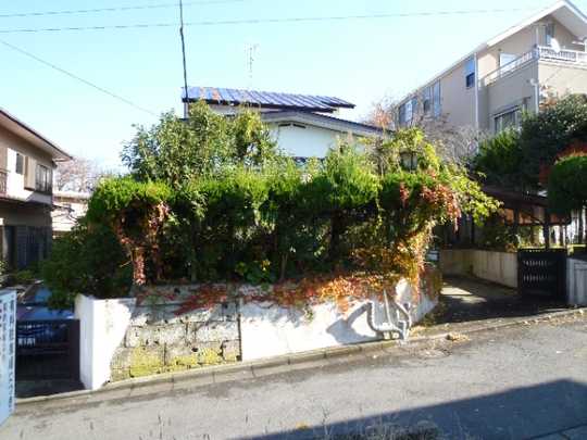 Local land photo. Current state