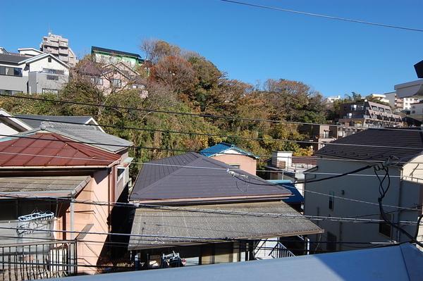 Other. View from local