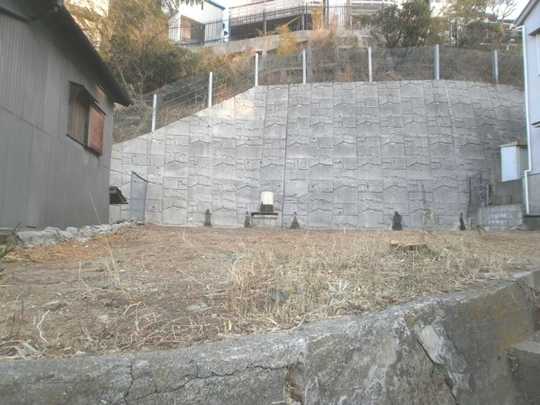 Local land photo. Appearance 1