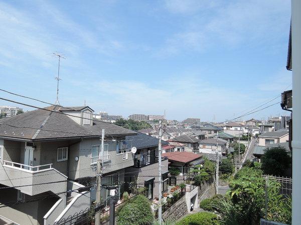 Other. View from local