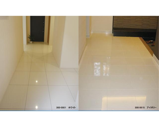 Same specifications photos (Other introspection). (The company specification example)