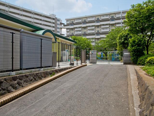 Other. Yokohama Nagata nursery