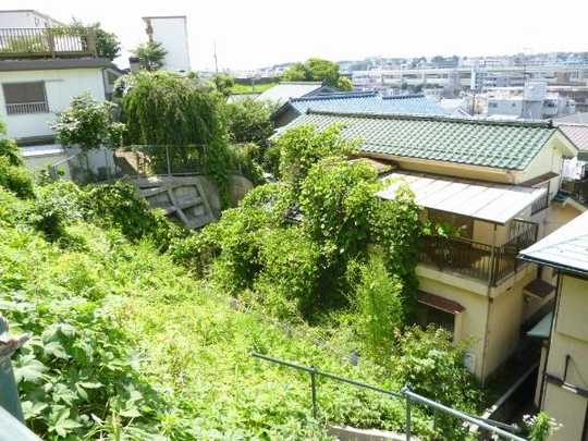 Local land photo. Panoramic view