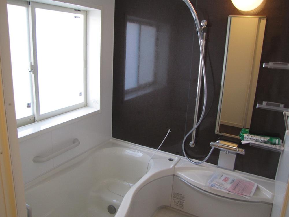 Bathroom. Indoor (11 May 2013) Shooting