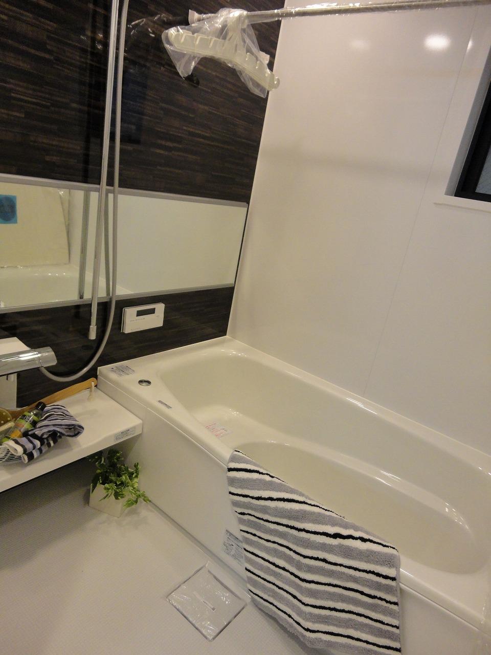 Rendering (introspection). Bathroom construction cases