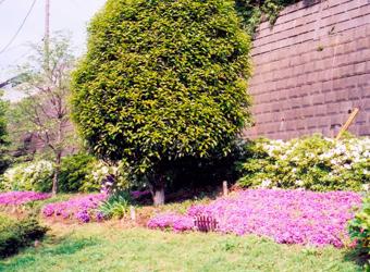 park. Mutsukawa to Central Park 1208m