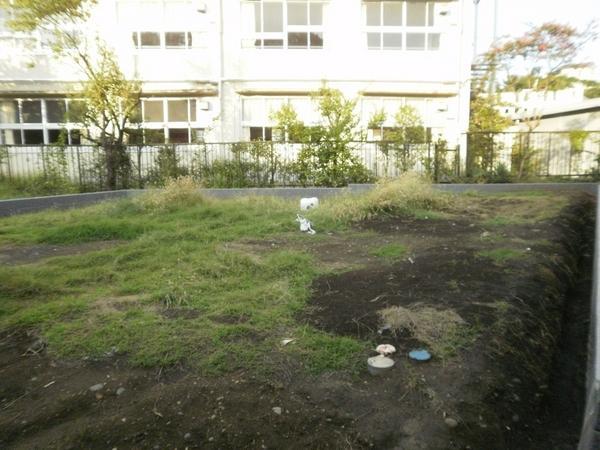 Other. Local (September 2013) Shooting