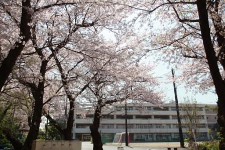 Junior high school. 549m to Yokohama Municipal Nakaodai junior high school
